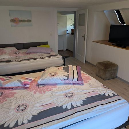 Feriendomizil Burgert Naehe Europapark Apartamento Kippenheim Exterior foto